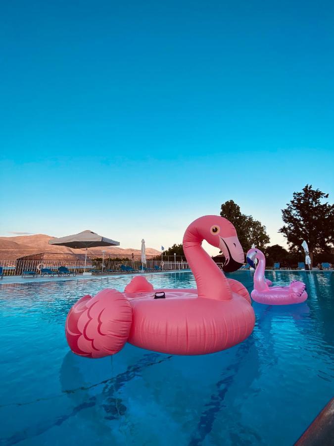 Terra Mare Hotel Agios Dimitrios  Eksteriør billede